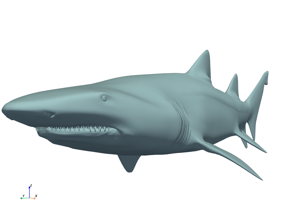 ../../_images/pyvista-examples-downloads-download_grey_nurse_shark-e152fd9e6284a37b_00_00.png