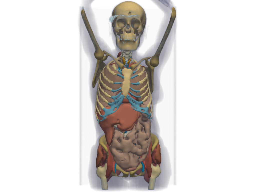 ../../_images/pyvista-examples-downloads-download_whole_body_ct_female-51cf66df56b405fd_00_00.png