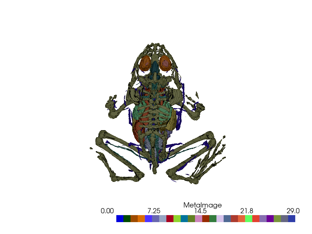 ../../_images/pyvista-examples-examples-load_frog_tissues-d1fa9a0aa4b55ed6_00_00.png